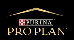 Pro Plan